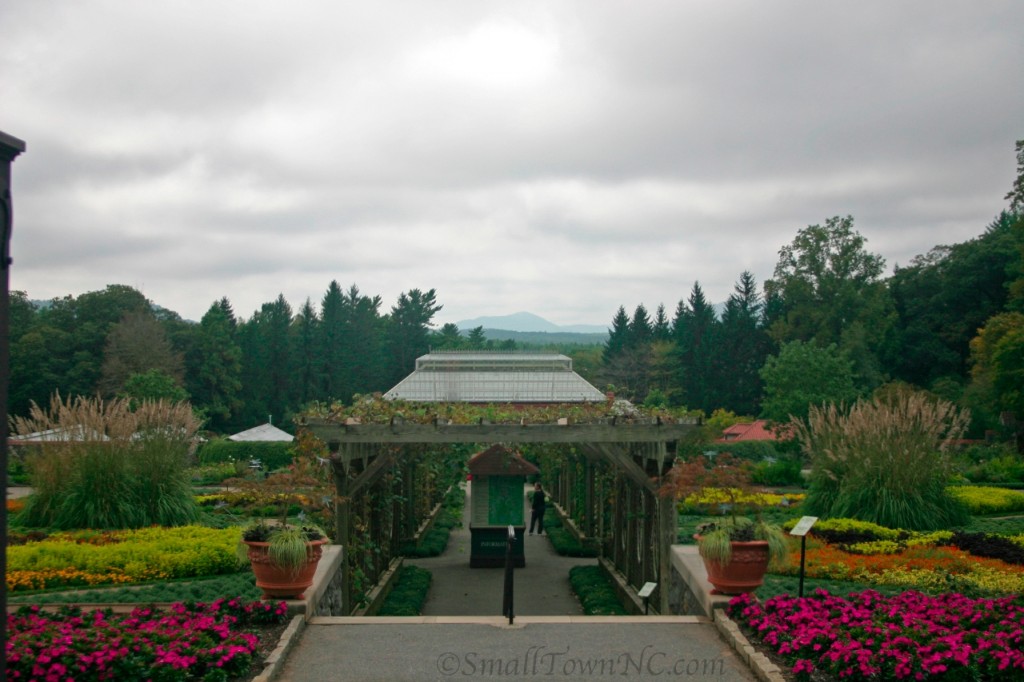 Biltmore Estate—Tiffany Garden (1)