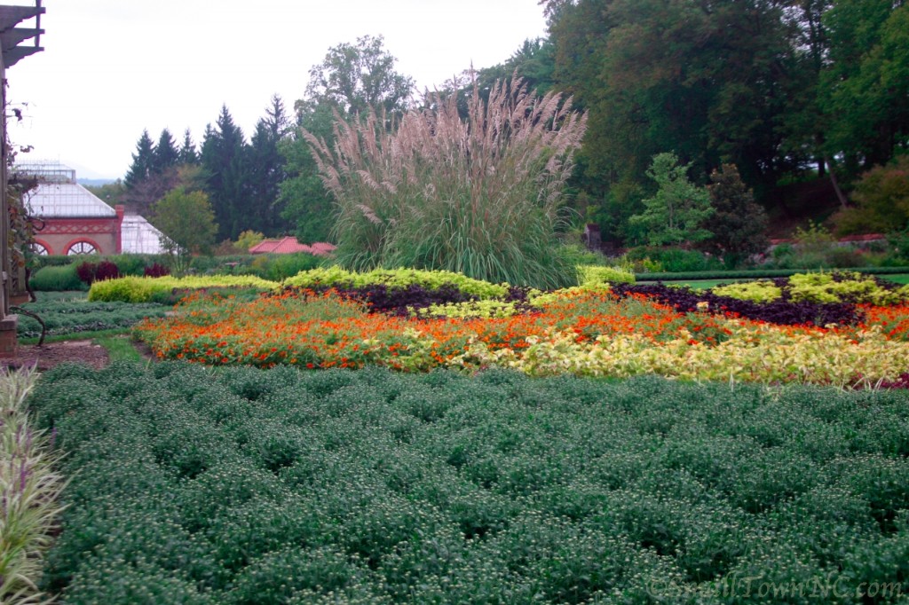 Biltmore Estate—Tiffany Garden (2)