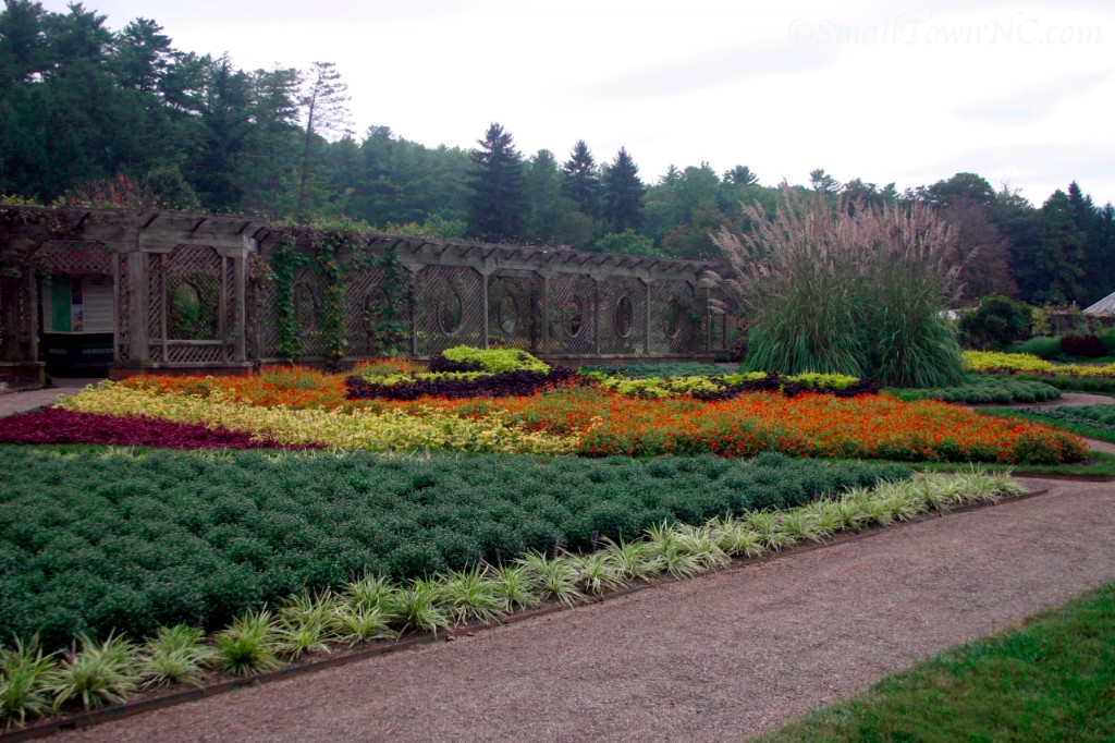 Biltmore Estate—Tiffany Garden (3)