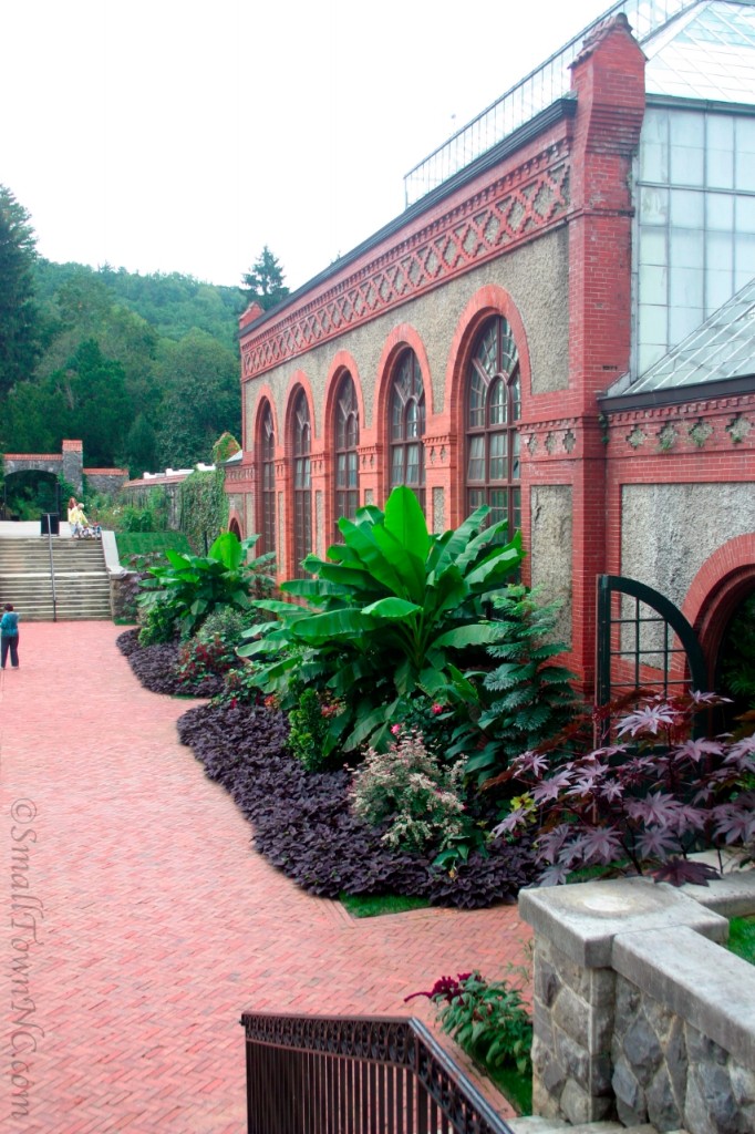 Biltmore Estate—Conservatory